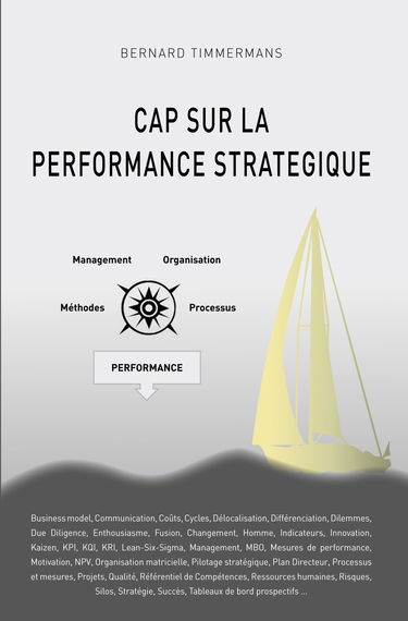 CAP SUR LA PERFORMANCE STRATEGIQUE