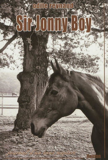 Couverture de Sir Jonny Boy : le journal d'un sans-papiers par Odile Reynaud