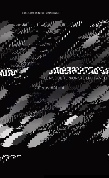 Daesh et Al-Qaïda: Le risque terroriste en France