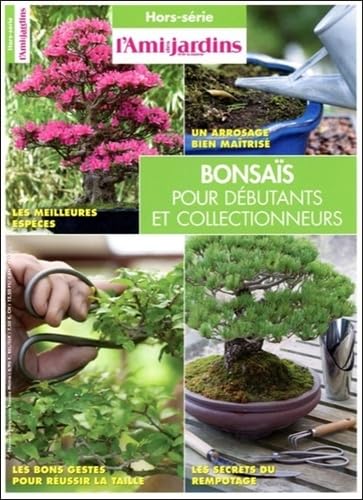 Bonsaïs pour débutants et collectionneurs