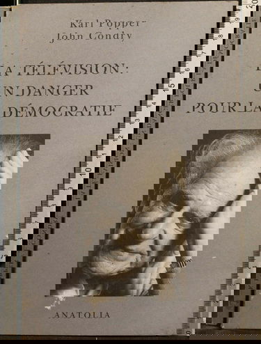 La télévision, un danger pour la démocratie