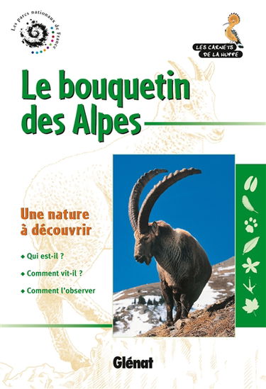 Le bouquetin des Alpes : une nature à découvrir
