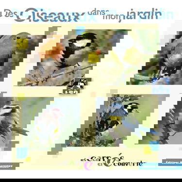 Des Oiseaux dans mon jardins