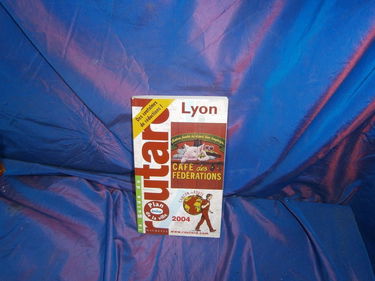 Guide du routard : Lyon 2004