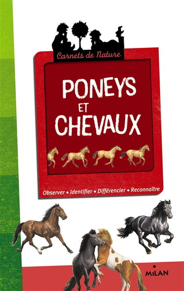 Poneys et chevaux : observer, identifier, différencier, reconnaître