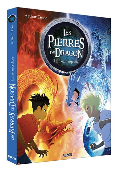 Couverture de Les pierres de dragon. Vol. 1. La métamorphose