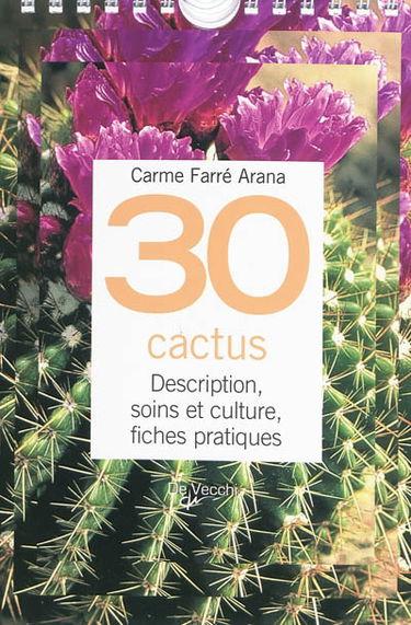 30 cactus : description, soins et culture, fiches pratiques