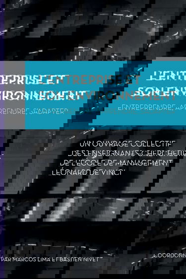 L'Entreprise et son Environnement: Entreprendre, apprendre, s'adapter