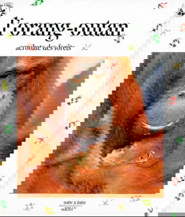 L'orang-outan : acrobate des forêts