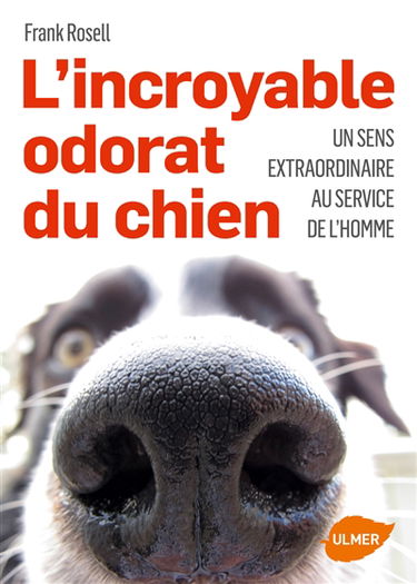 L'incroyable odorat du chien : un sens extraordinaire au service de l'homme