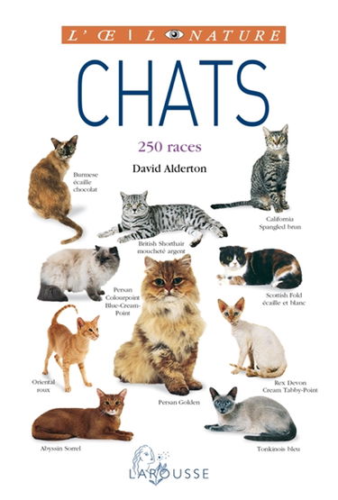 Chats : 250 races