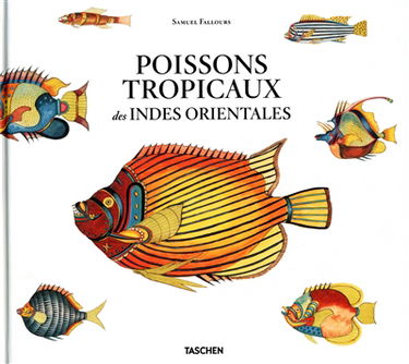 Poissons tropicaux des Indes orientales