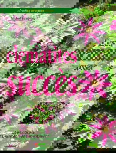 Les clématites avec succès