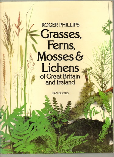 Couverture de Grasses, Ferns, Mosses and Lichens of Great Britain