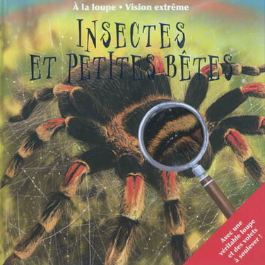 Insectes et petites bêtes
