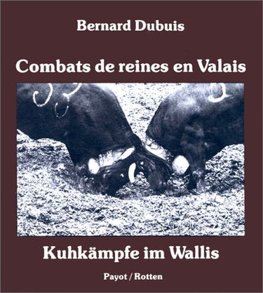 Combats de reines en Valais
