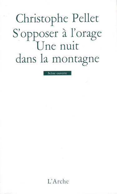 S'opposer à l'orage. Une nuit dans la montagne