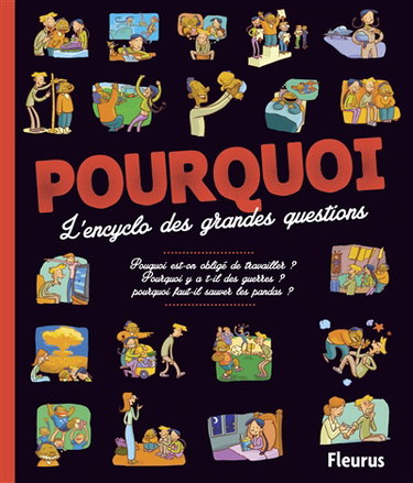 Couverture de Pourquoi ? : l'encyclo des grandes questions par Vincent Villeminot