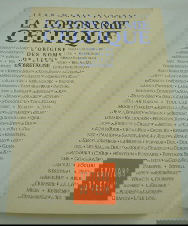 La toponymie celtique Tome 1: [Aspects historiques ; géographie physique]