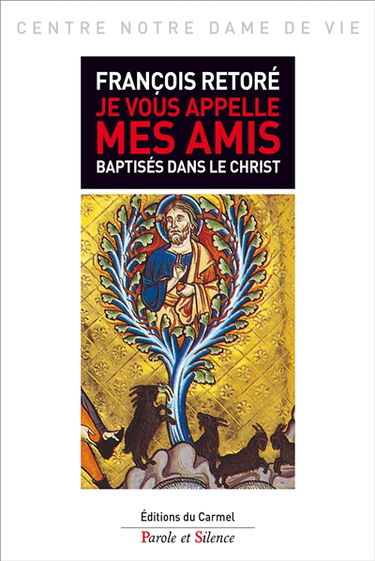 Je vous appelle mes amis : baptisés dans le Christ