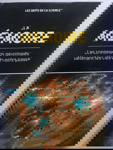 La Memoire Les Connexions Neuronales Détenant les Clés de Notre Passé
