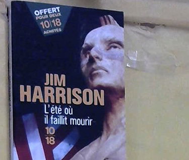 L'ete ou il faillit mourir