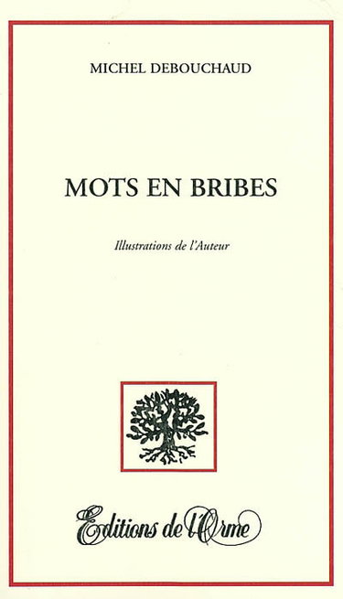 Couverture de Mots en bribes