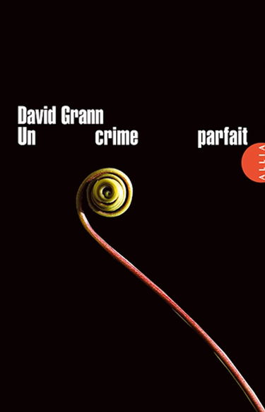 Un crime parfait : un polar postmoderne