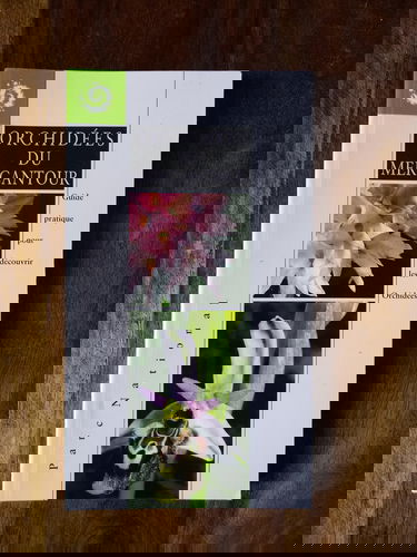 Orchidées du Mercantour : guide pratique pour découvrir les orchidées