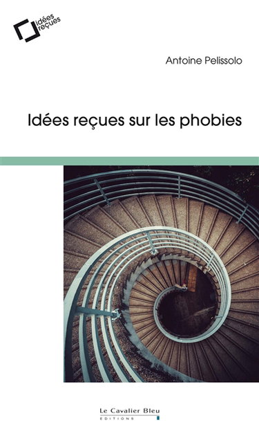Couverture de Idées reçues sur les phobies