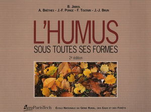L'humus sous toutes ses formes