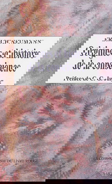 Origines et histoire de la conscience