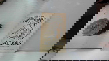 Histoires naturelles