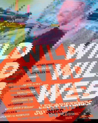 Wild wild web, n° 1. Les mystères du web