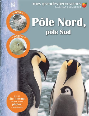 Pôle Nord, Pôle Sud : pourquoi ? comment ?