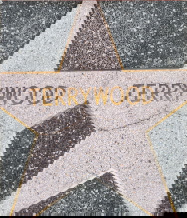 Terry richardson terrywood /anglais