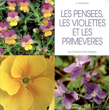 Couverture de Les pensées, les violettes et les primevères : les choisir et les soigner