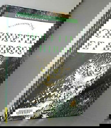 Chouette et hibou : les chasseurs de la nuit