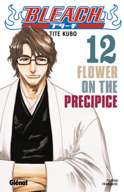 Bleach. Vol. 12. Flower on the precipice