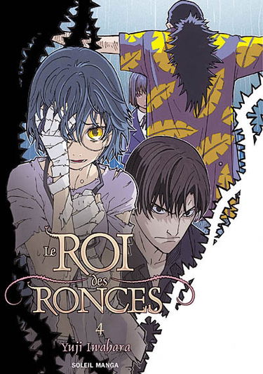 Le roi des ronces. Vol. 4