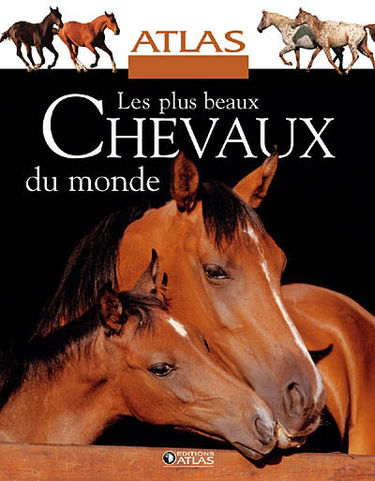 Les plus beaux chevaux du monde