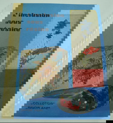 L'Inclusion sous résine (Collection Savoir faire)