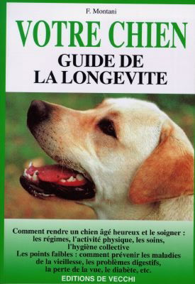 Bien vivre avec un chien âgé