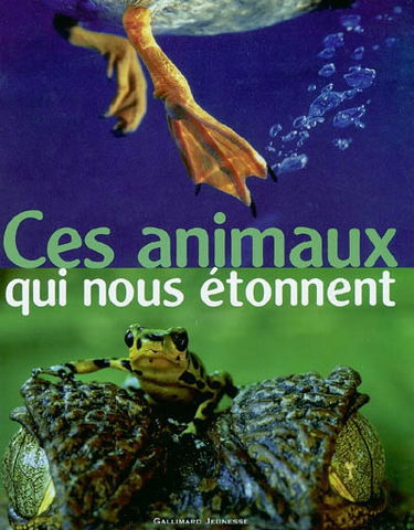 Ces animaux qui nous étonnent