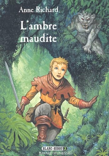 Blanc Hibou. Vol. 2. L'ambre maudite