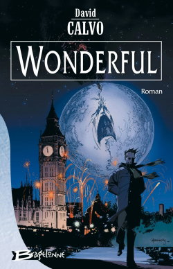Couverture de Wonderful