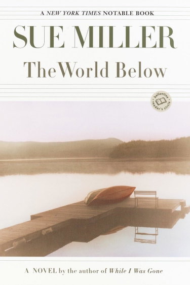 Couverture de The World Below: A Novel