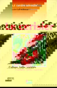 Le cerisier : culture, taille, variétés