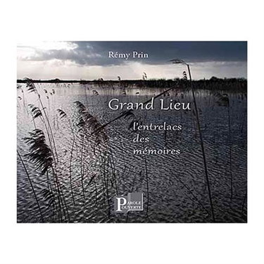 Couverture de Grand Lieu : l'entrelacs des mémoires