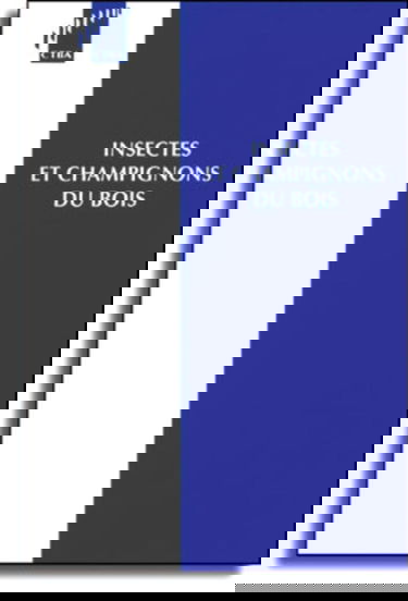 Insectes et champignons du bois